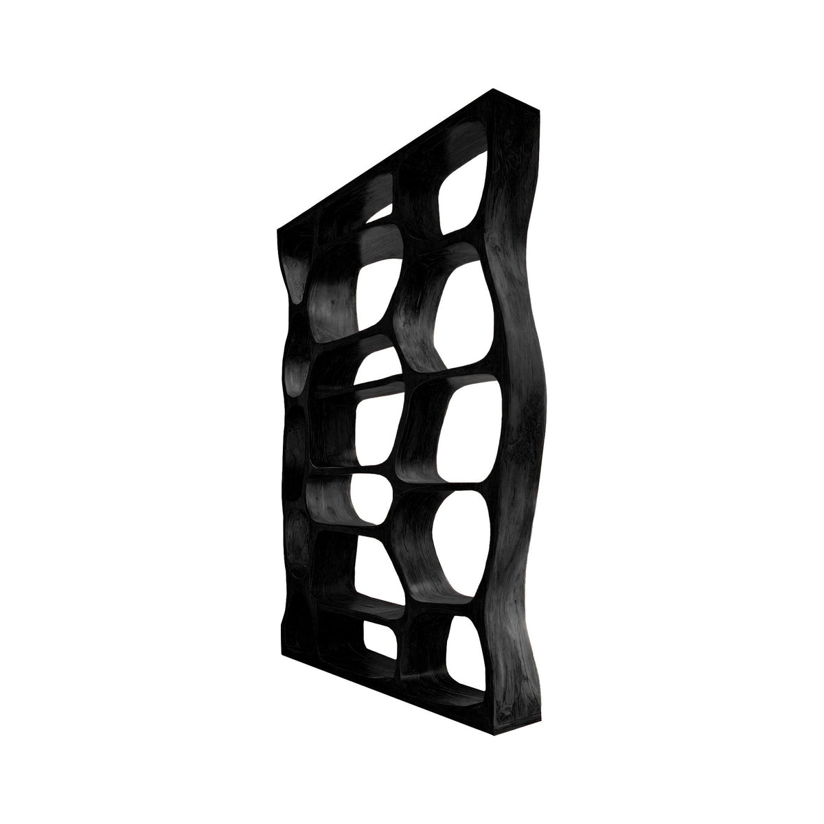 Auralis Sculpted Solid Wood Divider Bookshelf